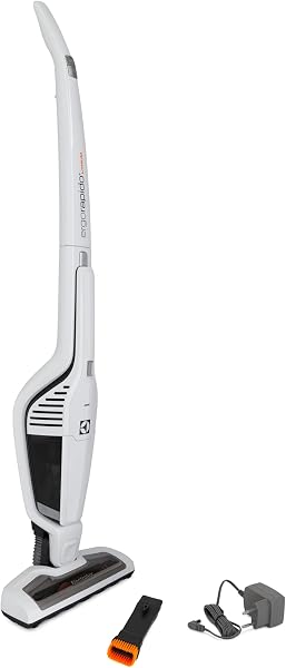 Aspirador de Pó Electrolux ERG21 Ergorapido